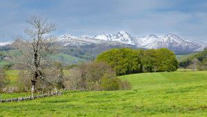 Courtier Mont-de-Marsan